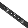 Black Bond Collar with Leash