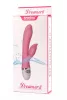 Lovetoy Dreamer II Vibrator Pink